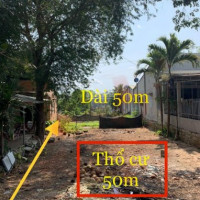 Chính Chủ Bán đất Mặt Tiền đường Mỹ Xuân- Ngãi Giao- Thị Xã Phú Mỹ -dt:8x50m, Giá 2,5 Tỷ