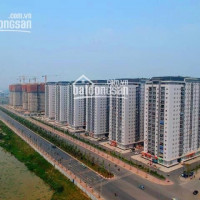 Chính Chủ Bán Nhanh Lô Biệt Thự đẹp Giá Hấp Dẫn Tại Kđt Thanh Hà Cienco 5 Em Khánh Lh 0962433833