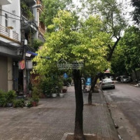 Chính Chủ Bán Nhanh Nhà Mậu Lương Kinh Doanh ô Tô 515m2 Mặt Tiền 4m Giá Chào 5 Tỷ