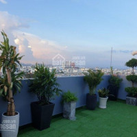 Chính Chủ Bán Nhanh Penthouse Sky Garden 3  Dt 310m Giá Hợp Lý Cho Anh Chị Mua đầu Tư Lh 0903 676 074