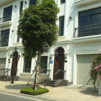 Chính Chủ Bán Nhanh Shophouse Liền Kề 97m2 Dãy Thạch Thảo 1, Hướng đông Nam, Cực đẹp