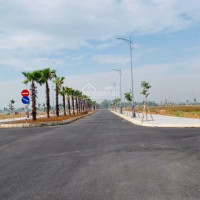 Chính Chủ Cần Bán Gấp Nền Nhà Phố Khu Mỹ An, Dự án Biên Hoà New City, Chỉ 1,55 Tỷ đã Có Sổ