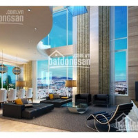 Chính Chủ Cho Thuê Nhanh Căn Penthouse Tại Vinhomes Central Park Giá Tốt 300m2, View Sông Và Bitexco 0977771919