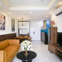 Chính Chủ Cho Thuê Nhanh Cc Terra Royal, Dt 72 M2, 2pn, 2wc, View đẹp, Lầu Trung 14 Tr/th, Lh: 0902 442 018