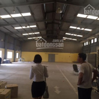 Chính Chủ Cho Thuê Nhanh Kho Xưởng Dt 560m2, 800m2, 1300m2, 2000m2 Kcn An Khánh, Hoài đức, Hà Nội Lh 0979929686