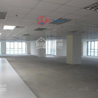 Chính Chủ Cho Thuê Nhanh Văn Phòng Phố Hoàng đạo Thúy, Lê Văn Lương: 80m2, 140m2, 250m2, Giá Rẻ Nhất Thị Trường