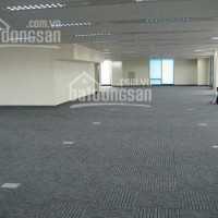 Chính Chủ Cho Thuê Nhanh Văn Phòng Thương Mại 250m2, 500m2, 1000m2 Phố Cát Linh, đống đa Lh 0903 226 595