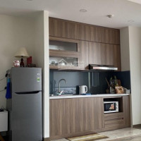 Chung Cư Ecolife Capitol, Studio 40m2 Full đồ