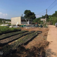đất Sổ Hồng, 2 Mặt đường Sổ Sẵn 5x23m, Dân Cư Hiện Hữu, Cạnh Chợ Salim, Kcn Bàu Xéo