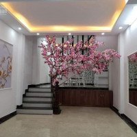 đỉnh Cao Giữ Tiền, Nhà đình Thôn ô Tô đỗ Cửa 40m2 7pn đủ đồ Giá Chỉ 42 Tỷ