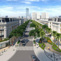 Duy Nhất 1 Căn Dẫy Louis 6 Dự án Louis City Hoàng Mai