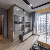 Mình Cần Cho Thuê Căn Hộ Cao Cấp Saigon South Residence Phú Mỹ Hưng, Mới 100% Giá 11 Triệu/th