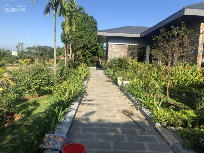 5200m2 Sẵn Kv Phù Hợp Làm Nghỉ Dưỡng Hoặc Kd Homestay Bám Hai Mặt đường Bê Tông Tại Lương Sơn, Hb 3