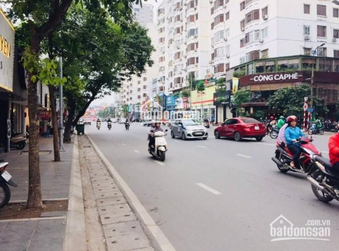 82m2 đất (66*124) Phố Phạm Ngọc Thạch Giá 62 Tỷ 1