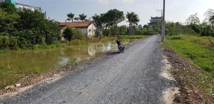 Ai Mua đất Kinh Doanh Thì Không Thể Bỏ Qua đất Mặt Tiền đường Hương Lộ 11 Vào,hưng Long,bình Chánh 5