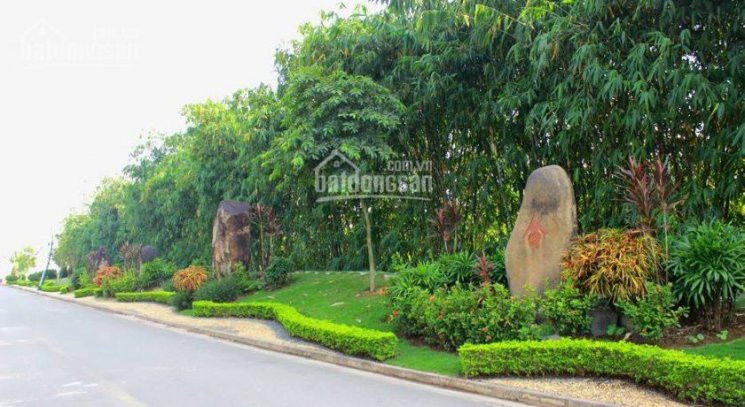 Bán 2 Căn Biệt Thự The Phoenix Garden - đông Nam Và Tây Nam Dt 200m2 - Chính Chủ Cần Tiền Bán Rẻ 4