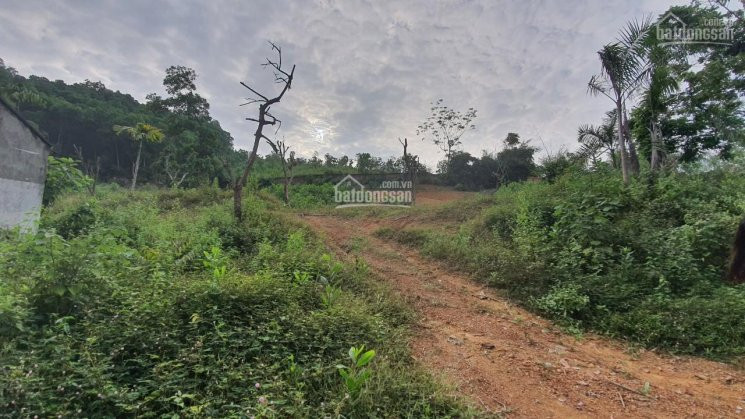 Bán 7100m2 đất Làm Nghỉ Dưỡng, Phân Lô đối Diện Legacy Hill Cư Yên - Lương Sơn Giá Rẻ 5