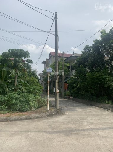 Bán đất đấu Giá Yên Thành, Oto đỗ Cửa, 6124m2, Vuông Vắn, Sổ đỏ Chính Chủ! 1