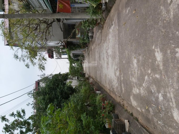 Bán đất đấu Giá Yên Thành, Oto đỗ Cửa, 6124m2, Vuông Vắn, Sổ đỏ Chính Chủ! 2