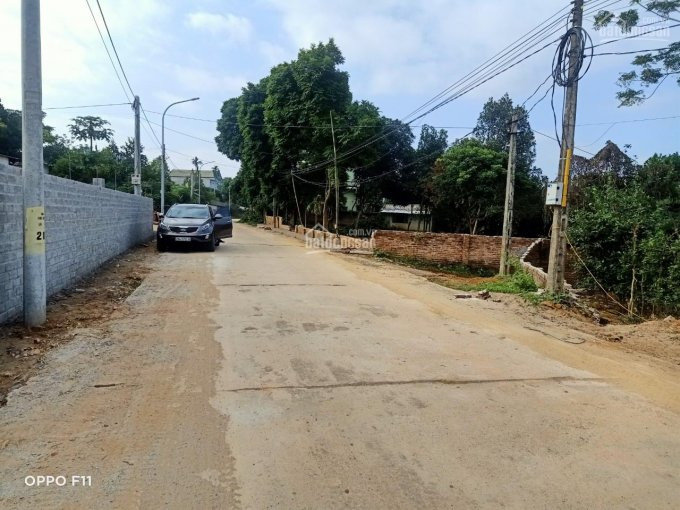 Bán đất Mặt đường Trại Láng 300m2, Xã Cổ đông, Thị Xã Sơn Tây 1