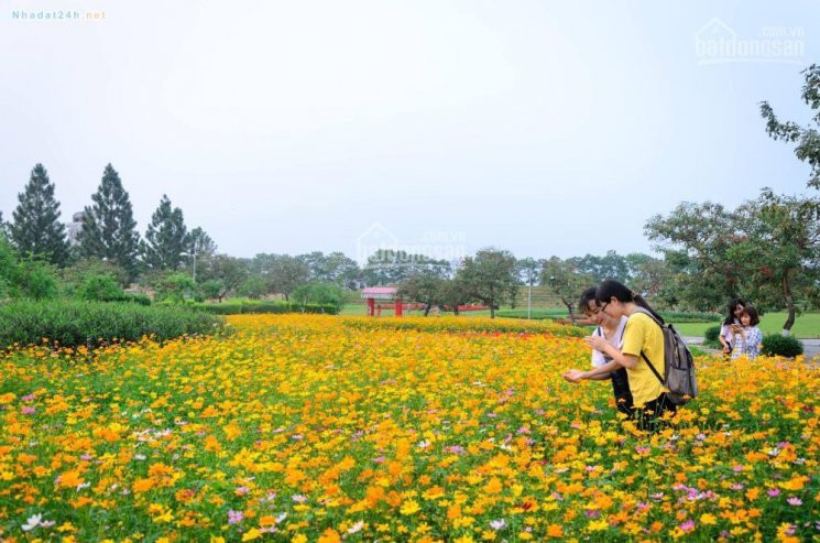 Biệt Thự The Phoenix Garden - Nhượng Lại Các Suất Ngoại Giao Giá Rẻ - Vị Trí đẹp Nhất Dự án 3