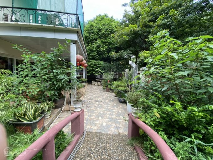 Biệt Thự Vườn Tùng Ecopark- Sân Vườn, Ao Cá, Phong Cảnh Hữu Tình- 432 M, Full đồ, Giá 23tỷ 1