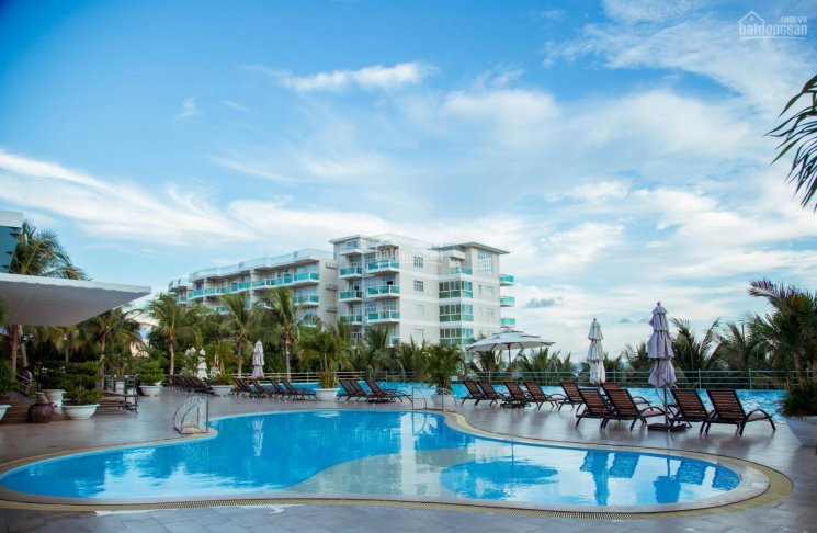 Cập Nhật Chuyển Nhượng Căn Hộ Ocean Vista, Phan Thiết, Bình Thuận Tháng 11/2020 1