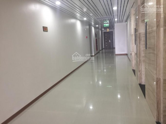 Chính Chủ Bán Cắt Lỗ Chung Cư Iris Garden, Tầng 1808, Ct4 60m2 2pn, Giá 1,85 Tỷ, Lh 0916419028 1