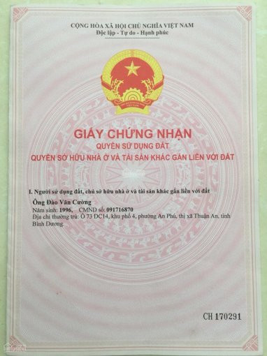 Chính Chủ Bán Dãy Nhà Trọ Mặt Tiền đường D6, Kdc Việt Sing, Phường An Phú, Tp Thuận An 2