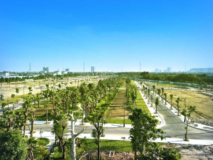 Chính Chủ Bán Liền Kề Louis City đại Mỗ Diện Tích 200m2, Căn 06 Louis Vii, Giá Tốt Nhất Trị Trường 2