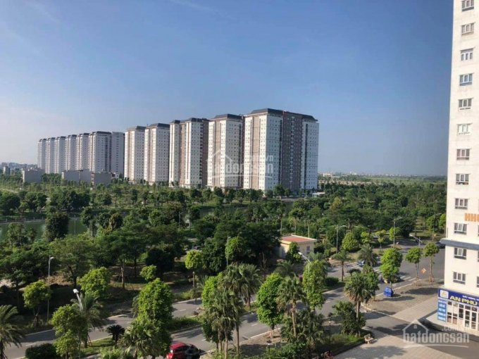 Chính Chủ Bán Lô đất Lk B11 Thanh Hà, Giá Rẻ Nhất Chỉ 3,6 Tỷ 3