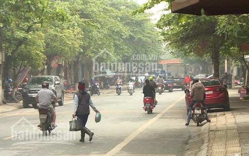 Chính Chủ Bán Nhà Nguyễn Văn Lộc, Làng Việt Kiều Châu âu Mỗ Lao, Hà đông Giá 10,9 Tỷ 4