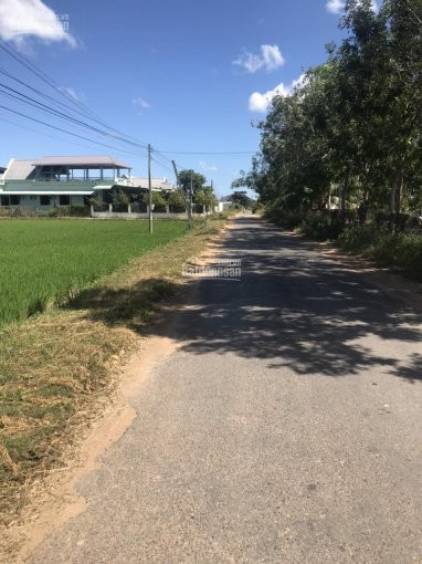 Chính Chủ Bán Nhanh 1ha đất Cây Trồng Mt đường Nhựa Gần Trung Thành Nam Xã Hàm Liêm, Hàm Thuận Bắc 2