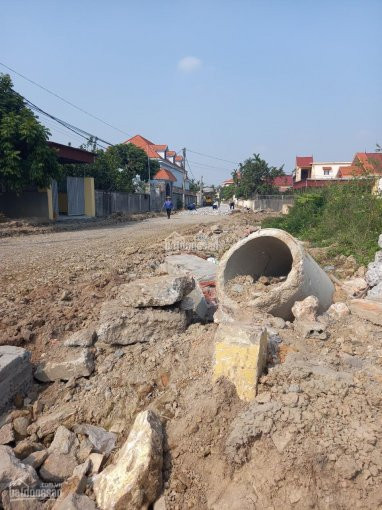 Chính Chủ Bán Nhanh 2 Lô Liền Nhau đã Tách Bìa Tại Lương Quy, Lê Lợi, An Dương đường Chính đang Làm Rất Tiềm Năng 1