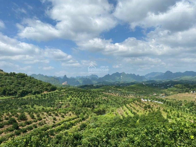 Chính Chủ Bán Nhanh 25ha đất Bám Suối ôm Vùng Quanh Có Nước Khoáng Nóng được Kiểm định Kim Bôi Làm Nghỉ Dưỡng đỉnh 4