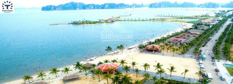 Chính Chủ Bán Nhanh 4 ô đất Biệt Thự Tuần Châu, View Biển Thích Hợp đầu Tư Sinh Lời, Xây Biệt Thự Nghỉ Dưỡng 1