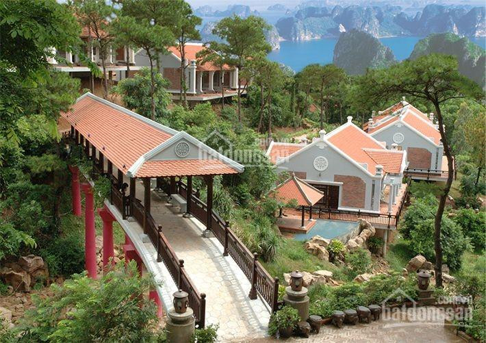 Chính Chủ Bán Nhanh 4 ô đất Biệt Thự Tuần Châu, View Biển Thích Hợp đầu Tư Sinh Lời, Xây Biệt Thự Nghỉ Dưỡng 3