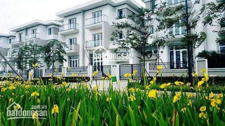 Chính Chủ Bán Nhanh Biệt Thự Gardenville Khu K Ciputra 140m2; 180m2; 336m2, Nhận Nhà Ngay, Giá Chỉ Từ 212 Tỷ/căn 4