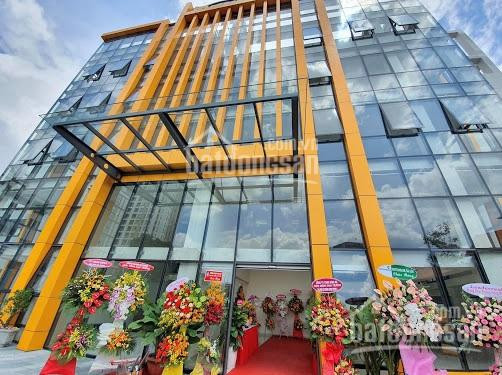 Chính Chủ Bán Nhanh Building 39x46m, Dtcn 1100m2, 2 Hầm 14 Tầng, Mặt Tiền Ung Văn Khiêm - D2, P25, Bình Thạnh 1