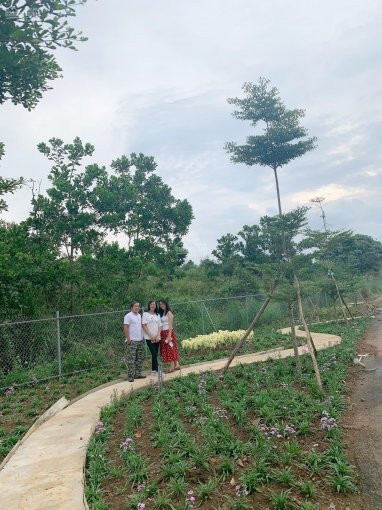 Chính Chủ Bán Nhanh Cắt Lỗ Lô đất Tp Bảo Lộc Gần Khu Du Lịch đẹp Nhất Lâm đồng, 400 Triệu, 105 M2 8