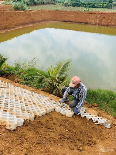 Chính Chủ Bán Nhanh đất Bảo Lộc, Gần Nút Thắt Cao Tốc Dầu Giây - Liên Khương, Sổ Riêng, Tc 100% Lh 0915 278 057 1