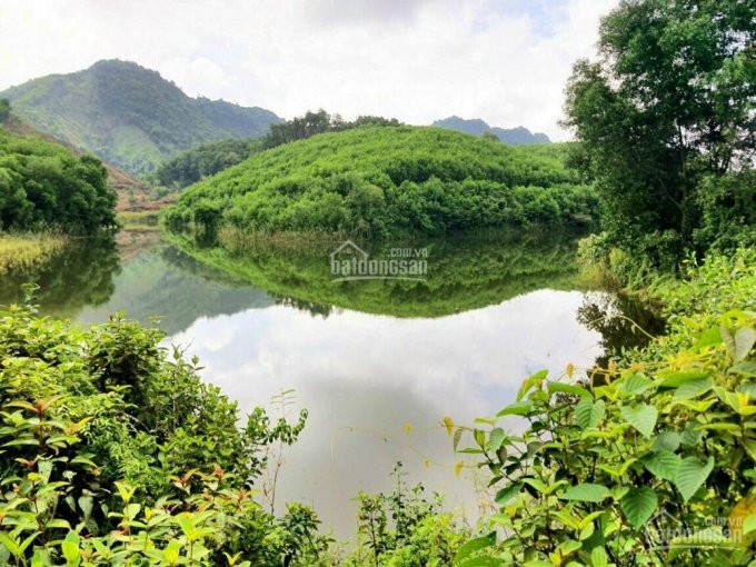 Chính Chủ Bán Nhanh đất Bình Sơn, Kim Bôi, Hòa Bình, Bán đảo đẹp, đường Bê Tông To Vào Tận đất 2