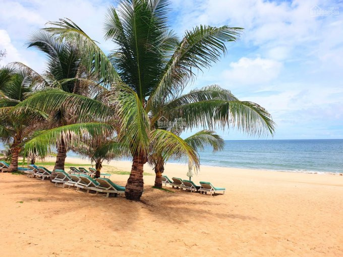 Chính Chủ Bán Nhanh đất Mũi Né đường Xuân Thủy, Nguyễn Cơ Thạch, Hồ Xuân Hương, Nguyễn Hữu Thọ, Lh 0986707476 3