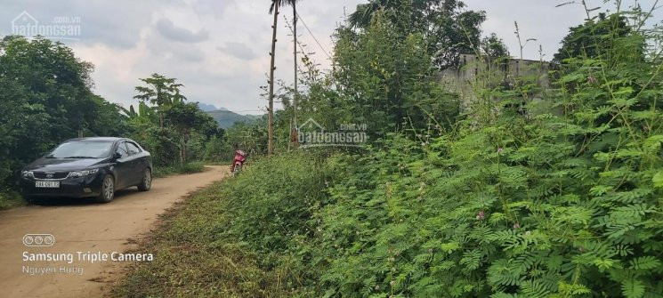 Chính Chủ Bán Nhanh đất Thổ Cư Cao Phong, Hòa Bình, Bám đường Bê Tông, Gần Suối, đất Thoải 1