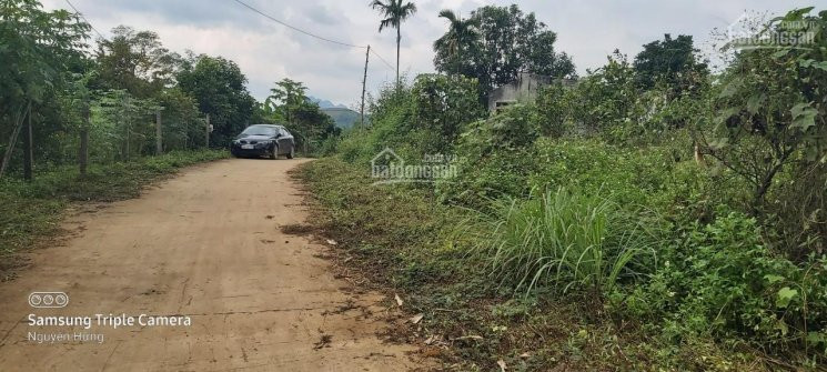Chính Chủ Bán Nhanh đất Thổ Cư Cao Phong, Hòa Bình, Bám đường Bê Tông, Gần Suối, đất Thoải 2