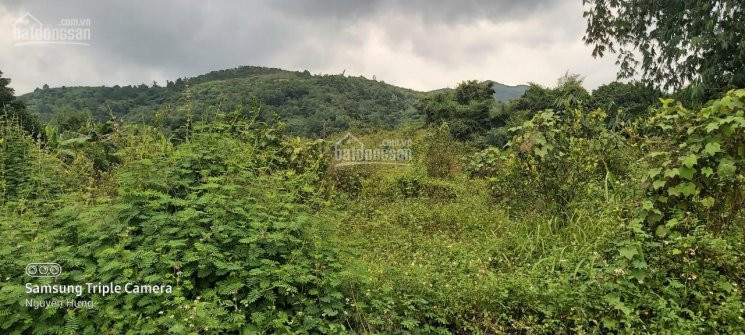 Chính Chủ Bán Nhanh đất Thổ Cư Cao Phong, Hòa Bình, Bám đường Bê Tông, Gần Suối, đất Thoải 3