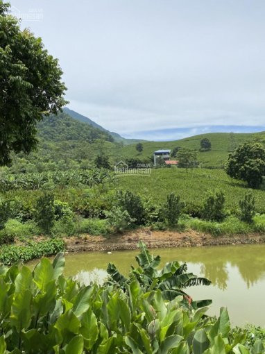 Chính Chủ Bán Nhanh đất Thổ Cư ở Xã Minh Quang, Huyện Ba Vì, Hà Nội 2