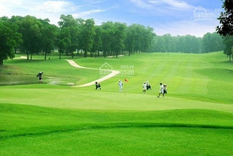 Chính Chủ Bán Nhanh đất Thổ Cư, Sân Golf Tam đảo, 900 - 1000m2, Giá Từ 3 - 6tr/m2, Homestay Phù Hợp, Lh 0986797222 1