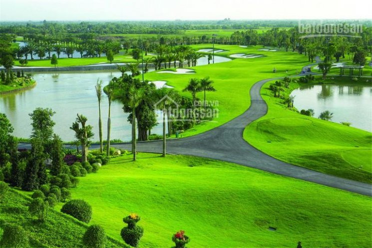 Chính Chủ Bán Nhanh đất Thổ Cư, Sân Golf Tam đảo, 900 - 1000m2, Giá Từ 3 - 6tr/m2, Homestay Phù Hợp, Lh 0986797222 2