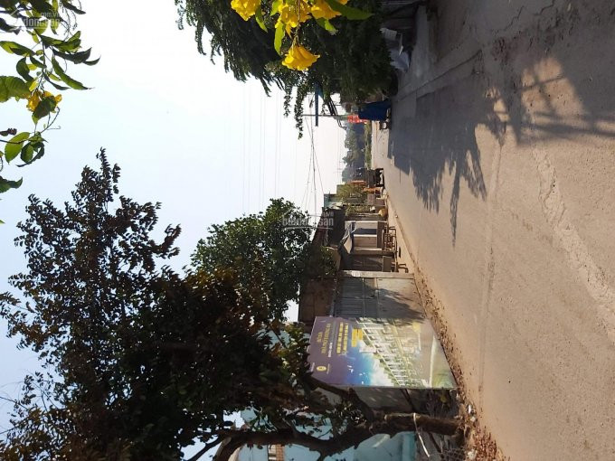 Chính Chủ Bán Nhanh đất Tiện Xây Mới Góc 2 Mặt Tiên Cây Cám, Pbình Hưng Hòa B 3